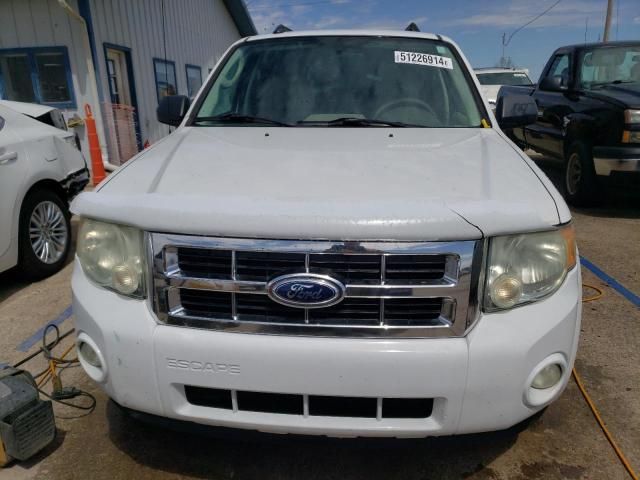 2010 Ford Escape XLT