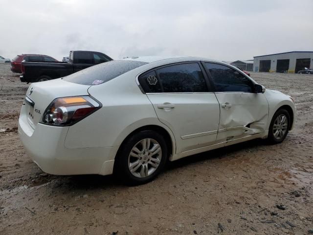 2010 Nissan Altima Base