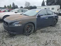 Salvage cars for sale from Copart Graham, WA: 2010 Nissan Maxima S