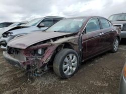 Salvage cars for sale from Copart Rocky View County, AB: 2008 Honda Accord EXL