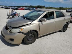 Salvage cars for sale at West Palm Beach, FL auction: 2010 Toyota Corolla Base