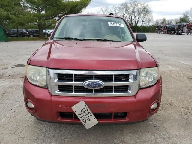 2008 Ford Escape XLT