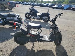 Honda nps50 salvage cars for sale: 2019 Honda NPS50