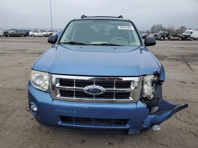 2009 Ford Escape XLT