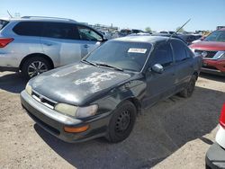 Salvage cars for sale at Tucson, AZ auction: 1995 Toyota Corolla LE