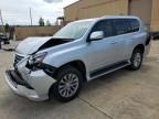 2019 Lexus GX 460