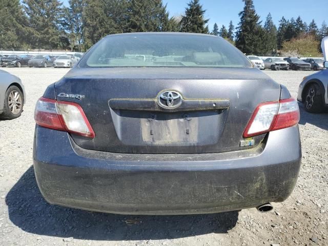 2009 Toyota Camry Hybrid