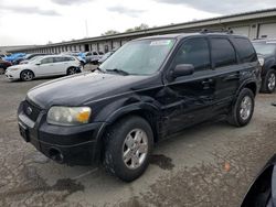 Salvage cars for sale from Copart Louisville, KY: 2007 Ford Escape Limited