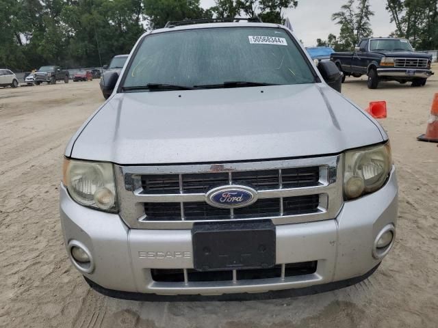 2010 Ford Escape XLT