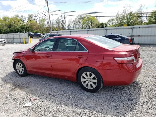 2009 Toyota Camry Hybrid