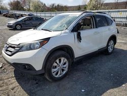 Salvage cars for sale from Copart Grantville, PA: 2013 Honda CR-V EXL