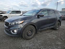 Salvage cars for sale at Ottawa, ON auction: 2018 KIA Sorento LX