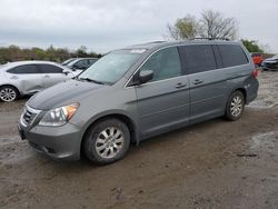 Salvage cars for sale at Baltimore, MD auction: 2008 Honda Odyssey EXL