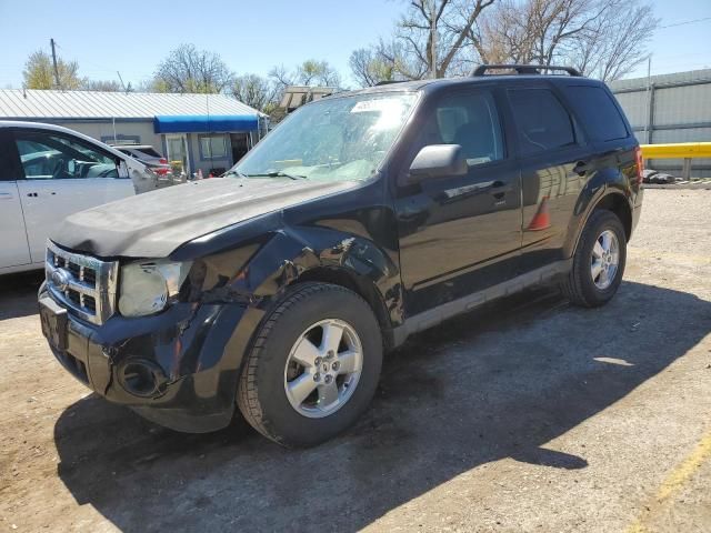 2009 Ford Escape XLT