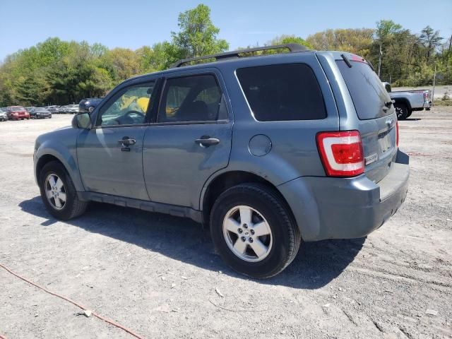 2011 Ford Escape XLT