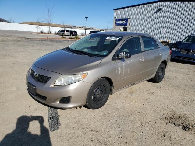 2009 Toyota Corolla Base