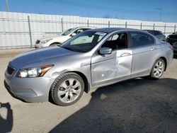 Honda salvage cars for sale: 2010 Honda Accord EXL