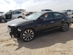 Salvage cars for sale at Amarillo, TX auction: 2023 Nissan Maxima Platinum