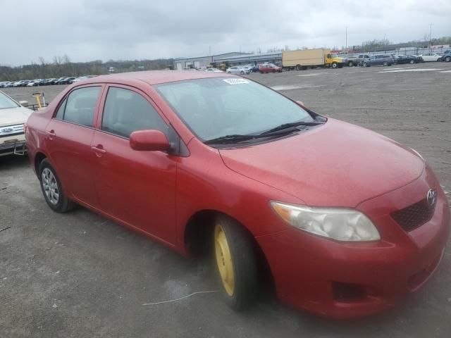 2009 Toyota Corolla Base