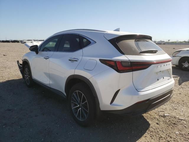 2024 Lexus NX 250 Premium