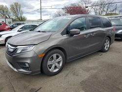 Salvage cars for sale at Moraine, OH auction: 2019 Honda Odyssey EXL