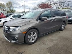 Honda Odyssey exl salvage cars for sale: 2019 Honda Odyssey EXL