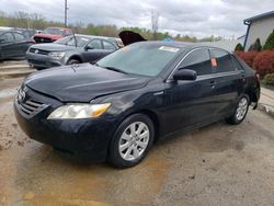 Salvage cars for sale from Copart Louisville, KY: 2009 Toyota Camry Hybrid