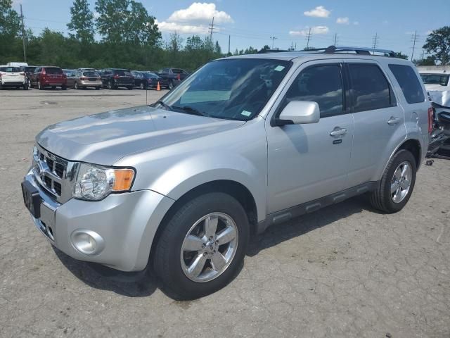 2011 Ford Escape Limited