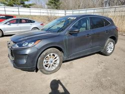 2020 Ford Escape SE for sale in Davison, MI