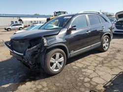 Salvage cars for sale at Pennsburg, PA auction: 2013 KIA Sorento EX