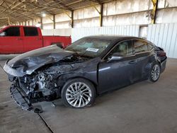 Salvage cars for sale at Phoenix, AZ auction: 2022 Lexus ES 350 Base