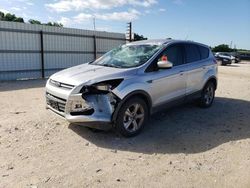 Salvage cars for sale at New Braunfels, TX auction: 2014 Ford Escape SE