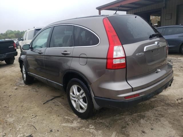 2010 Honda CR-V EXL