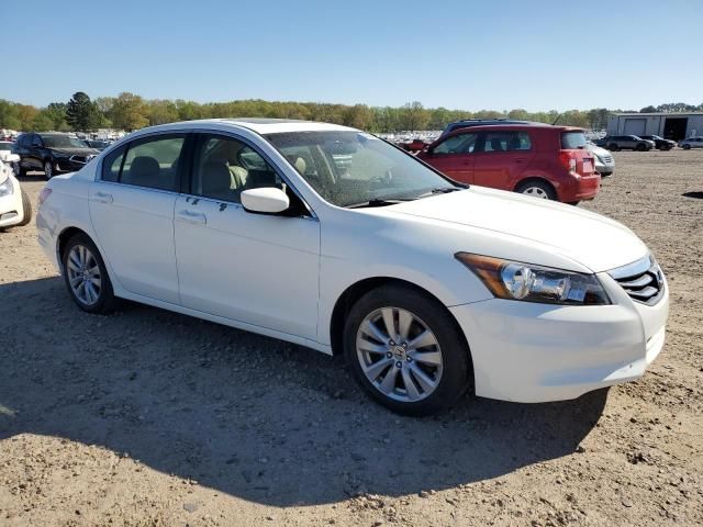 2011 Honda Accord EXL