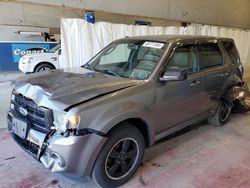 Salvage cars for sale from Copart Angola, NY: 2011 Ford Escape XLT