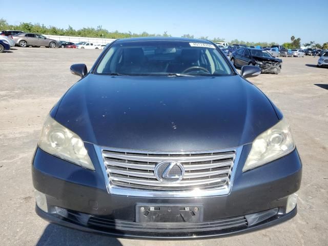 2010 Lexus ES 350