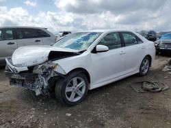 Toyota Camry L salvage cars for sale: 2014 Toyota Camry L