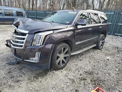 Vehiculos salvage en venta de Copart Candia, NH: 2015 Cadillac Escalade Luxury