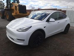 Salvage cars for sale at North Las Vegas, NV auction: 2022 Tesla Model Y