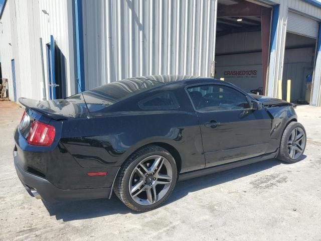 2010 Ford Mustang Shelby GT500