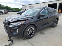 Salvage cars for sale at Gaston, SC auction: 2020 Ford Escape SEL