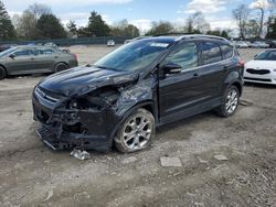 Ford Escape Titanium salvage cars for sale: 2014 Ford Escape Titanium