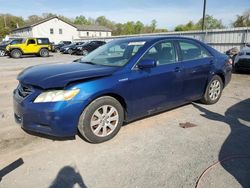 Salvage cars for sale at York Haven, PA auction: 2009 Toyota Camry Hybrid