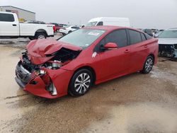 Salvage cars for sale at Amarillo, TX auction: 2021 Toyota Prius Prime LE