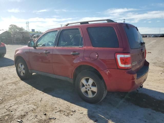 2009 Ford Escape XLT