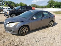 Ford Focus SE salvage cars for sale: 2014 Ford Focus SE