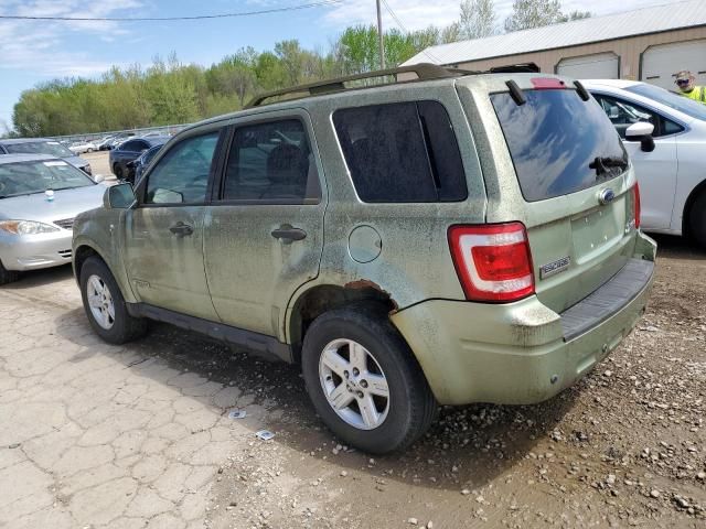 2008 Ford Escape HEV