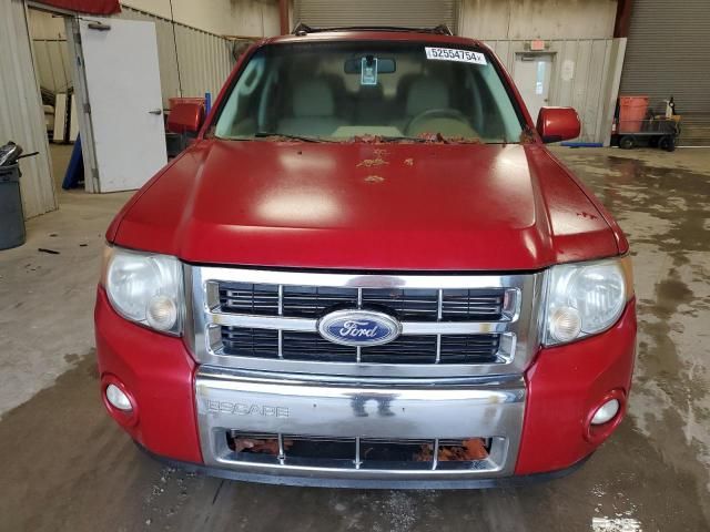 2010 Ford Escape Limited