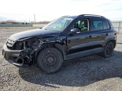 Salvage SUVs for sale at auction: 2014 Volkswagen Tiguan S
