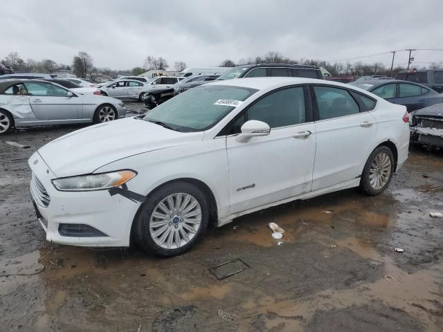 2013 Ford Fusion SE Hybrid